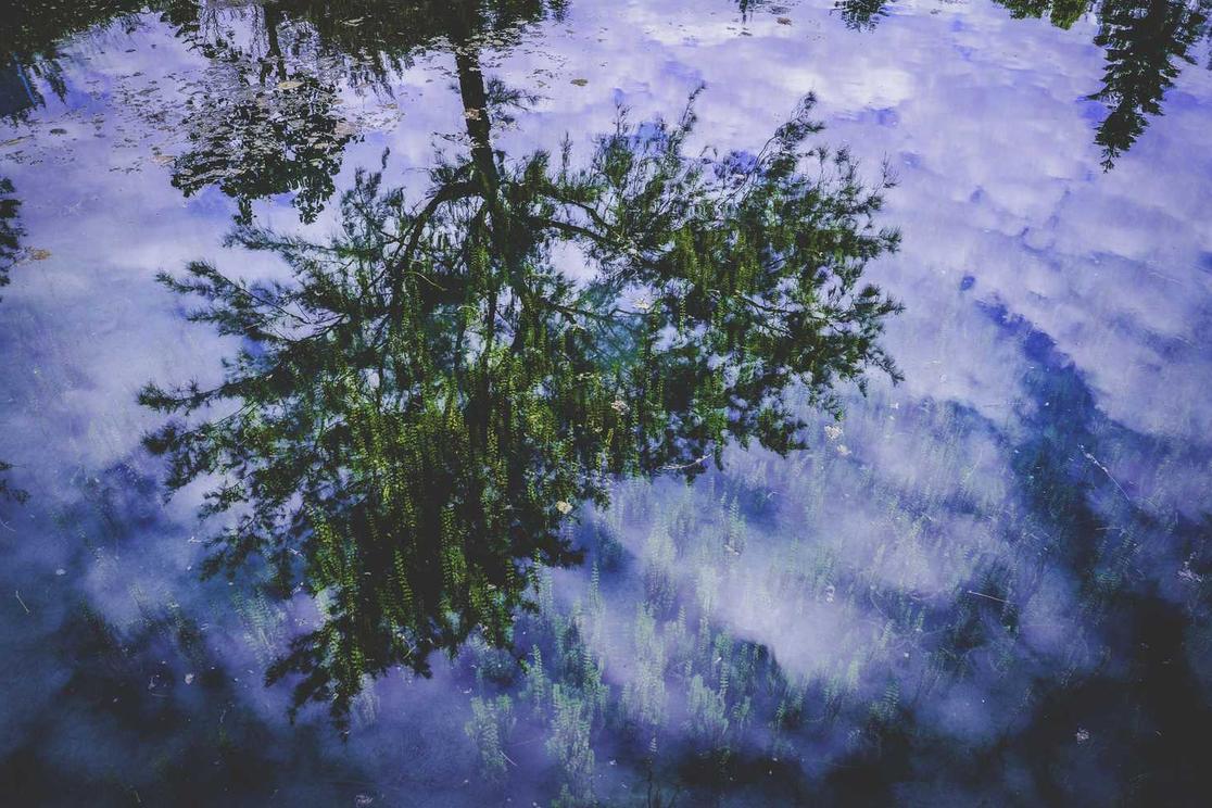 Ipsam molestias molestias ab voluptatem consectetur